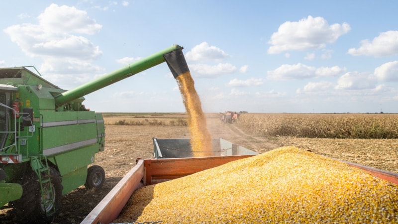 Rekolte nedir? Rekolte ne demek?