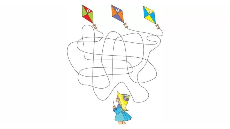 Zeka Sorusu: Sadece IQ'su 120+ Olanlar Kızın Tuttuğu Uçurtmayı Bulabilir