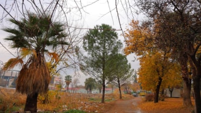 Kahramanmaraş'ta sonbahar