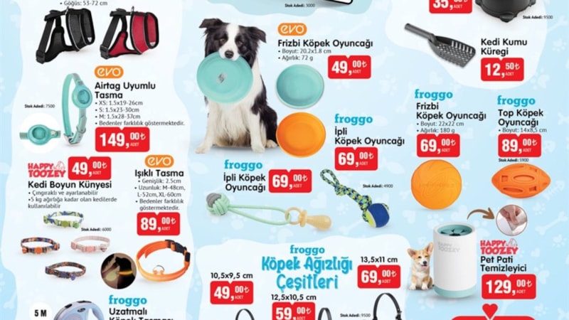 BİM'e petshop açıldı! Hayvan sahipleri koşacak: Tasma çeşitleri 49 TL, mama kapları 19 TL, oyuncaklar 69 TL...