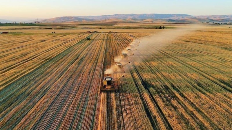 Çiftçilere 509,9 milyon TL destekleme ödemesi