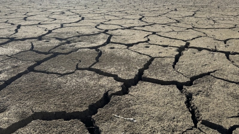 Arap Koordinasyon Grubu'ndan kuraklıkla mücadeleye 10 milyar dolarlık destek