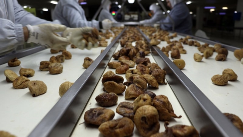 İhracattan geri dönen ürünlerin imha edildiği açıklandı