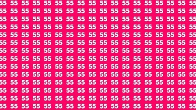 Farklı olanı bul! Sadece IQ'su 130 üzeri olanlar 6 saniyede fark ediyor...