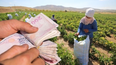 Çiftçilere yılbaşı öncesi ödeme: Hesapları kontrol edin