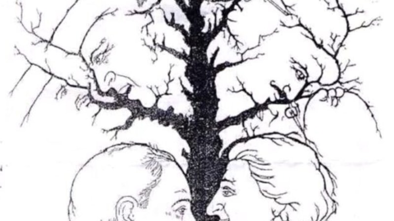 Alzheimer Testi: Resimde Kaç Yüz Görüyorsun?