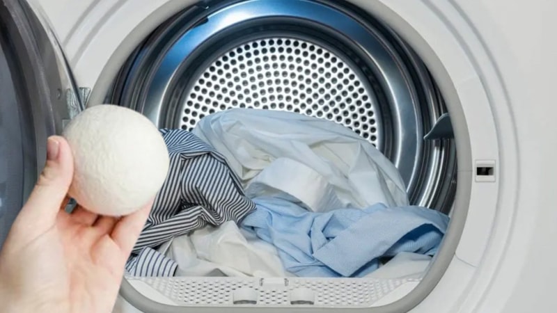 Kurutma makinesine atan yaşadı, hem daha çabuk kurutuyor hem tüylerden eser bırakmıyor…