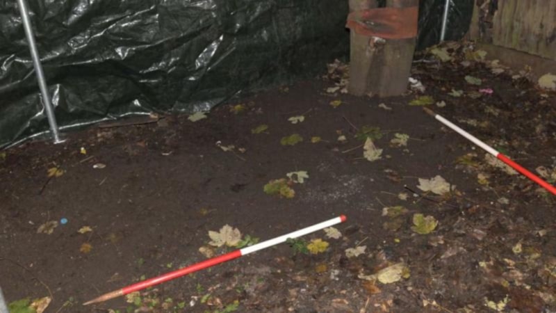 İngiltere'de bir çift oğullarına 'vegan diyeti' uygulayarak ölümüne yol açtı