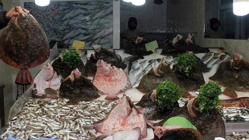 Türkiye'nin Karadeniz'deki kalkan kotasında rekor