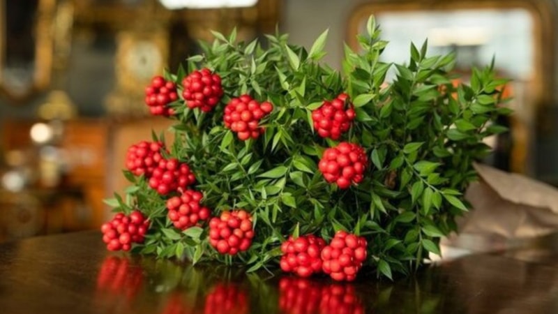 Uzmanlardan “kokina” uyarısı: Bakın neye yol açıyor