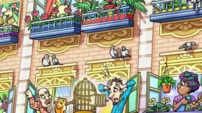 Papağan Nerede? 21 saniye içinde bulan gizli ajan sayılıyor