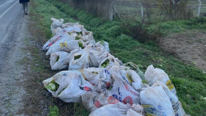 İzmir'de 52 çuval marul çalan şahıslar tutuklandı