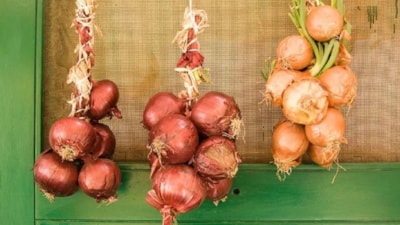 Yılbaşı akşamı kapının üstüne soğan asmak bakın ne işe yarıyormuş