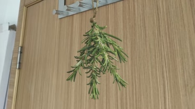 Kapının üzerine 7 tane biberiye asın, ömür boyu rahatlayın