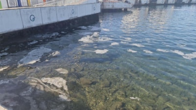 Çanakkale'de görülen müsilaj balıkçıları zor durumda bıraktı