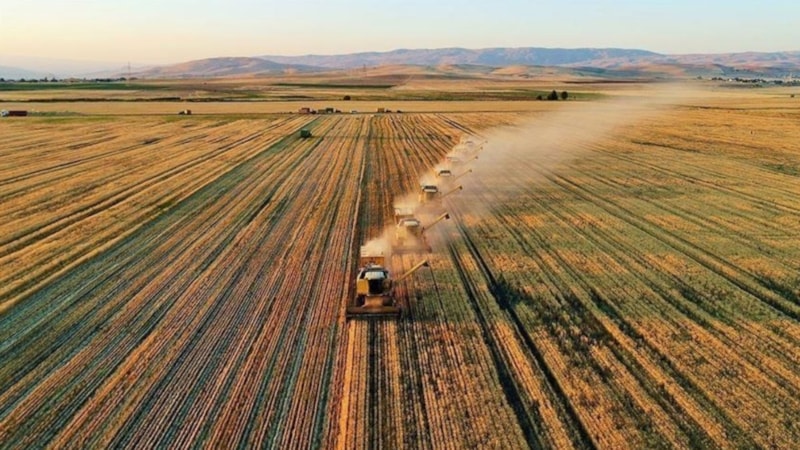 Çiftçilere TARSİM ödemesine 22,5 milyar lira destek