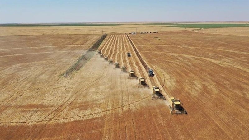 Çiftçilere 279,8 milyon lira tarımsal destekleme ödemesi