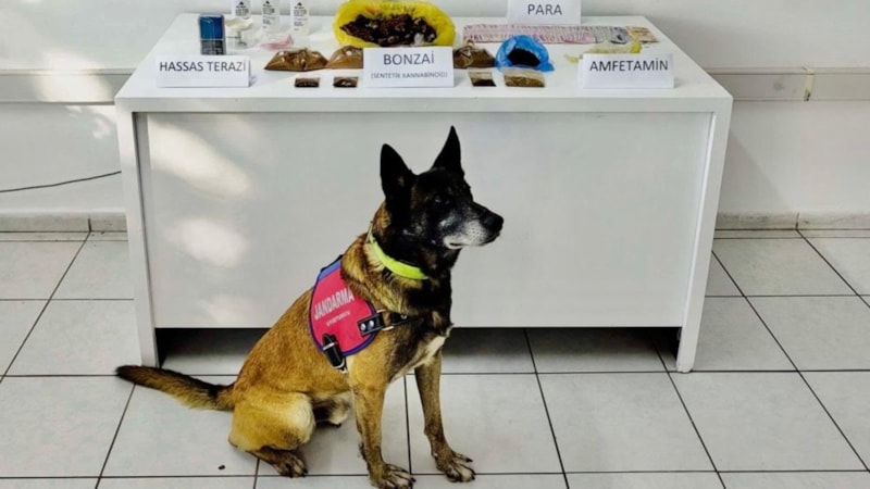 Muğla'da uyuşturucu operasyonunda 2 gözaltı