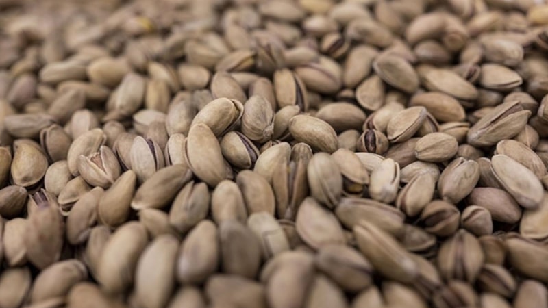 Yeşil altın fıstıkta ihracat katlandı