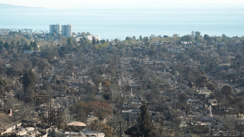 ABD'de yangından etkilenen küçük işletmelere destek