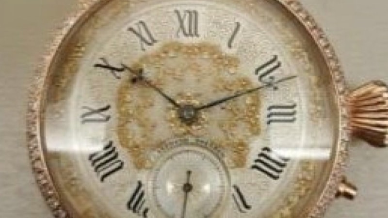 İstanbul'da iş insanları arasında 3,5 milyon liralık saat hırsızlığı