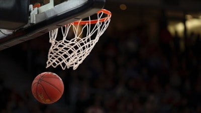 FIBA Şöhretler Müzesi 2025 sınıfında yer alacak isimler belirlendi