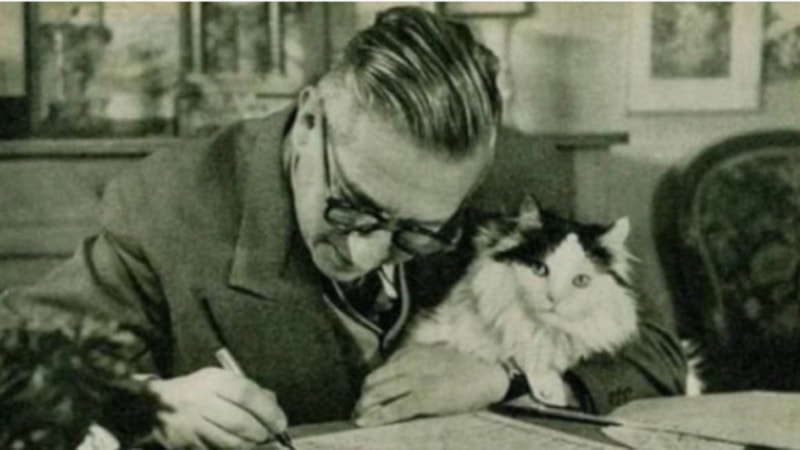 Ne kedisiz ne de kitapsız sözü ekseninde edebiyatta kediler