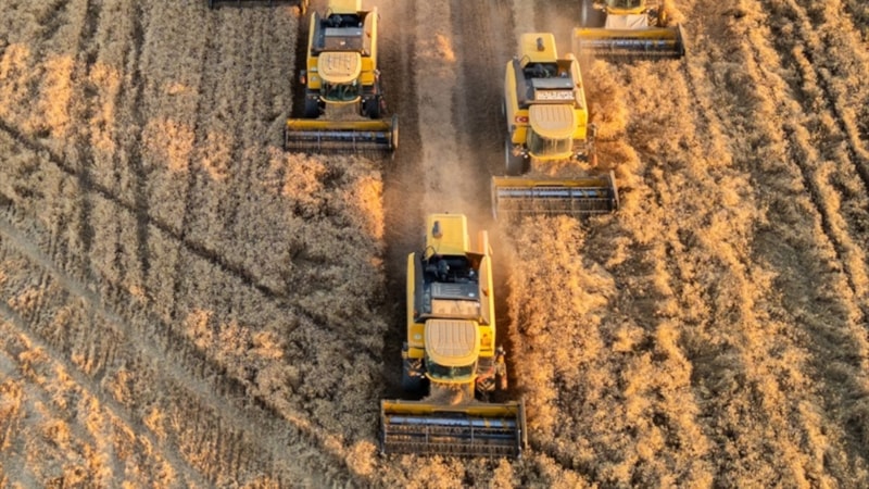 Tarım üretici fiyatları yıllık yüzde 32,92 arttı