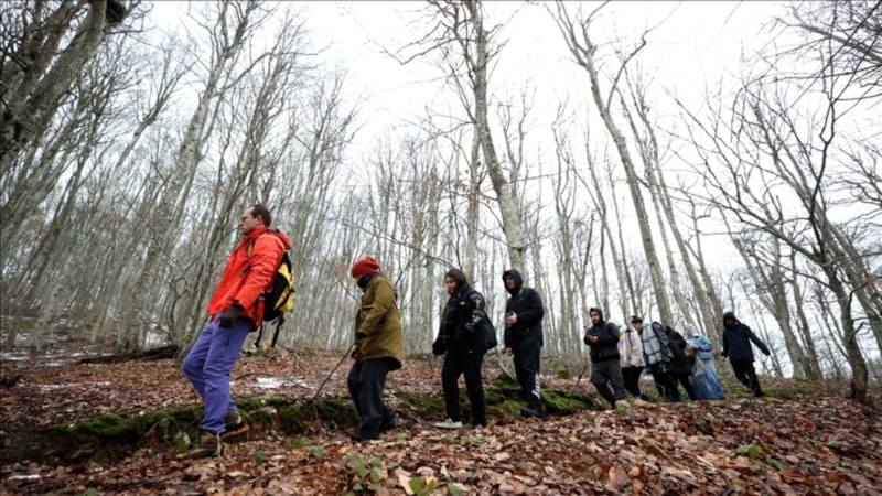 Toplum sağlığına doğadan destek: Orman banyosu