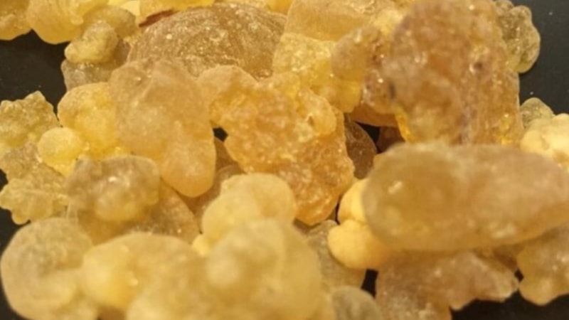 Aktarlar yetişemiyor; Bu sakızı çiğneyen tığ gibi oluyor