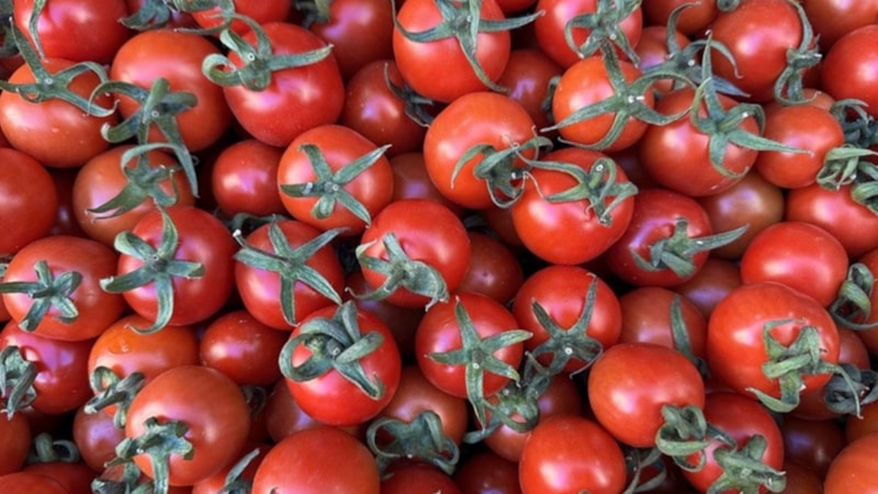 Türkiye'nin 2024 üretim karnesi çıktı: Sebze ihracatının lideri Antalya