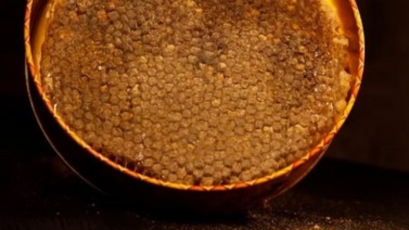 Bitlis balına coğrafi işaret