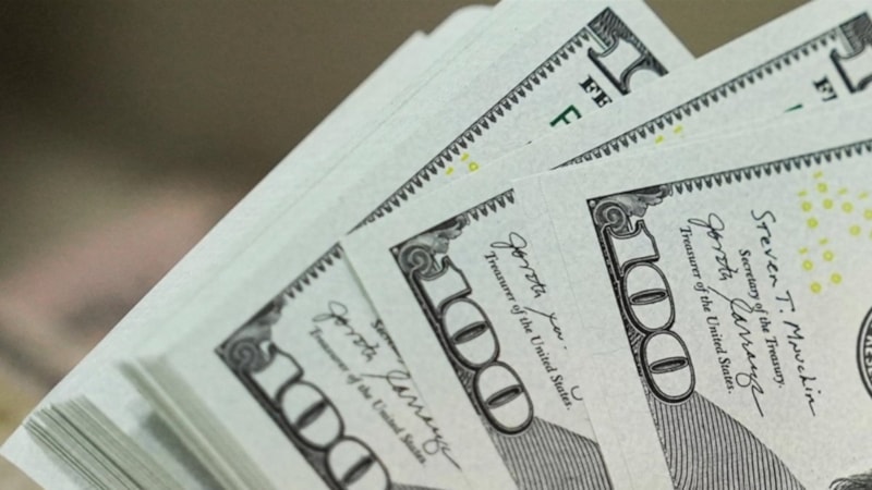 Türkiye'de döviz cinsi varlıklara rekor ilgi