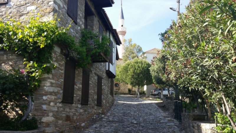 Emekli olan akın ediyor! Bu köyde evi arsası olan yaşadı