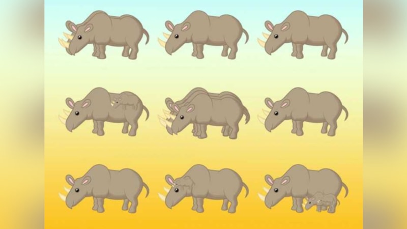 Resimde kaç tane fil var? 9 diyenler yanıldı...