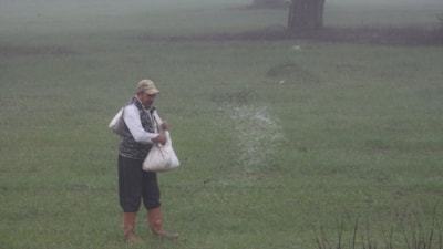 Antalya Kaş'taki sis tarım üretimine katkı sağlıyor