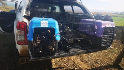 Çanakkale'de kaçak av operasyonu: 70 bin lira ceza kesildi