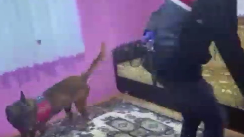 Yalova'da uyuşturucu operasyonu: 3 gözaltı