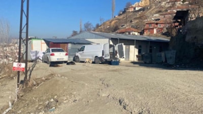 Ankara'da başıboş köpek sürüsünün saldırdığı kadın canını zor kurtardı