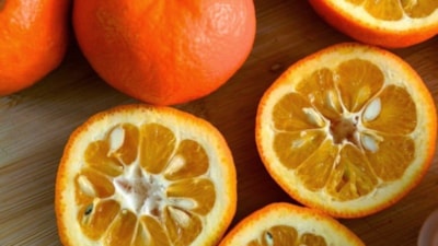 Portakalın Çekirdeklerini Atmayın! Bakın Ne İşinize Yarayacak...