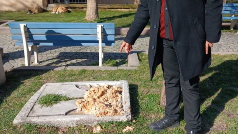 Kütahya'da 12 yaşındaki çocuğa başıboş köpek saldırdı