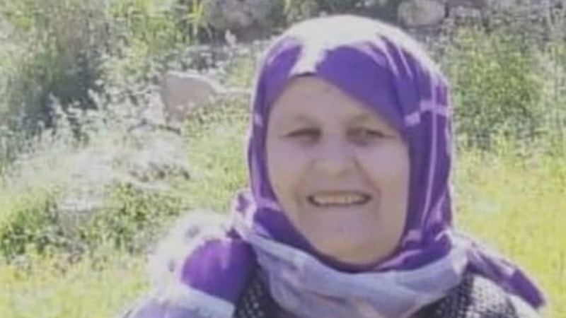 Mardin'de oğlunun mezarını ziyarete gitti: Yaşamını yitirdi