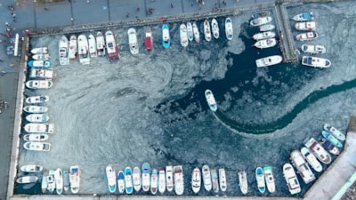 Çanakkale Boğazı'nda 5 yıl sonra yeniden müsilaj kabusu yaşanıyor