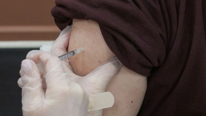 İstanbul'da geçen yıl 370 binin üzerinde kuduz aşısı uygulandı