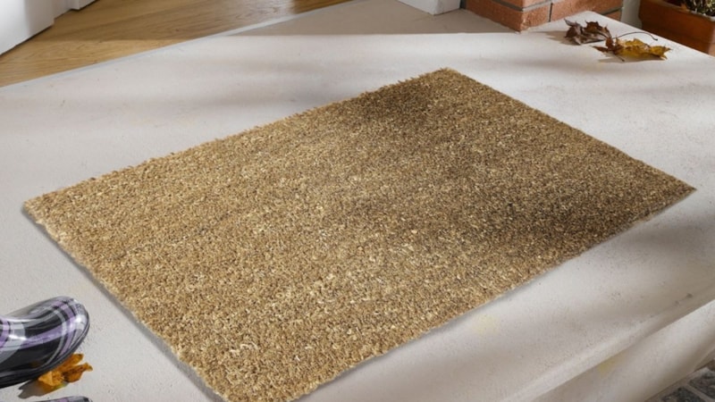 Duyan hemen kaldırıyor! Bakın kapının önünde duran paspas nelere yol açıyormuş