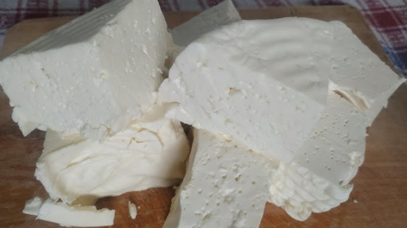 Veganlar yaşadı: İşte hayvan sütü olmadan üretilen peynir…