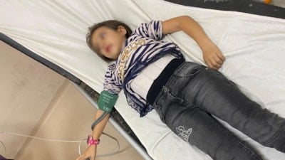 Bursa'da okul bahçesinde bakılan  başıboş köpekler 9 yaşındaki öğrenciye saldırdı