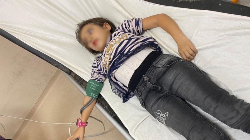 Bursa'da okul bahçesinde bakılan  başıboş köpekler 9 yaşındaki öğrenciye saldırdı