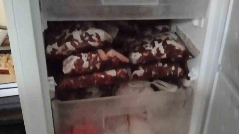 Buzdolabından çıktı; 379 bin TL ceza kesildi