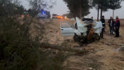 Şanlıurfa'da otomobilin ağaca çarptığı kazada 4 kişi yaralandı